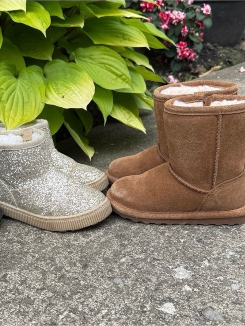 2pairs toddler size 8 cat& jack and Bearpaw